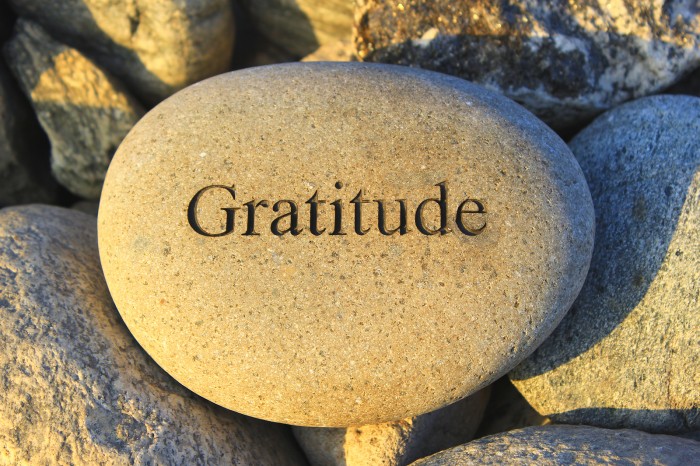 Gratitude and Appreciation