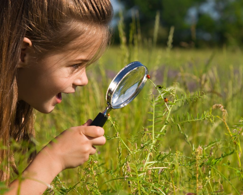Exciting focus on a lady bug with a magnifying glass.
