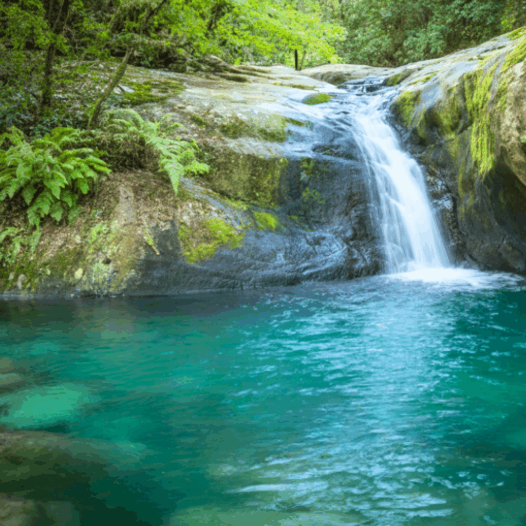 waterfall